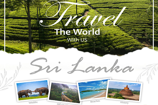 Travel the World Flyer